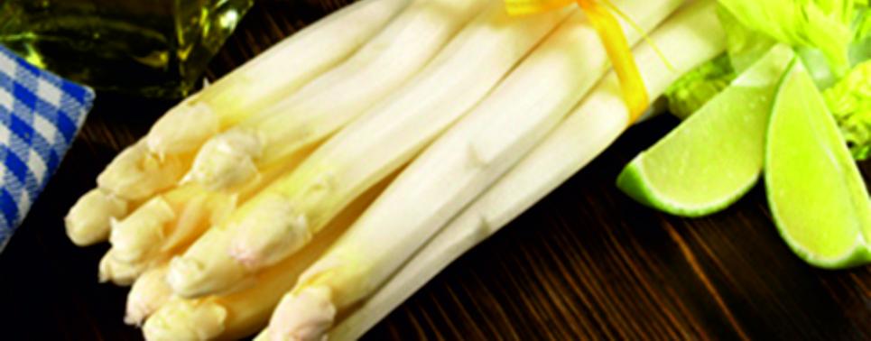 Notre Suggestion du mois mai 2019